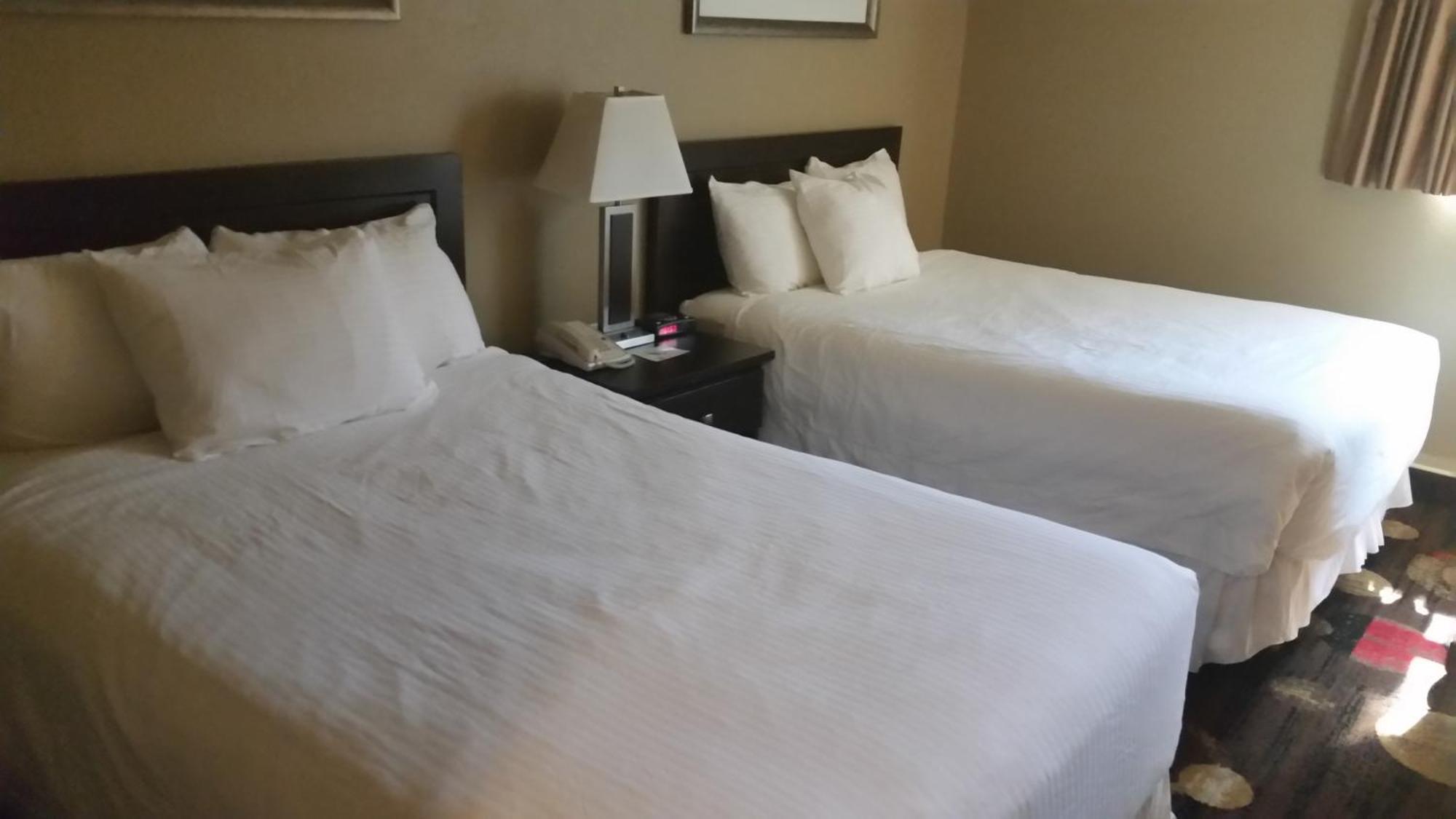 Stonebridge Hotel Fort Mcmurray Phòng bức ảnh